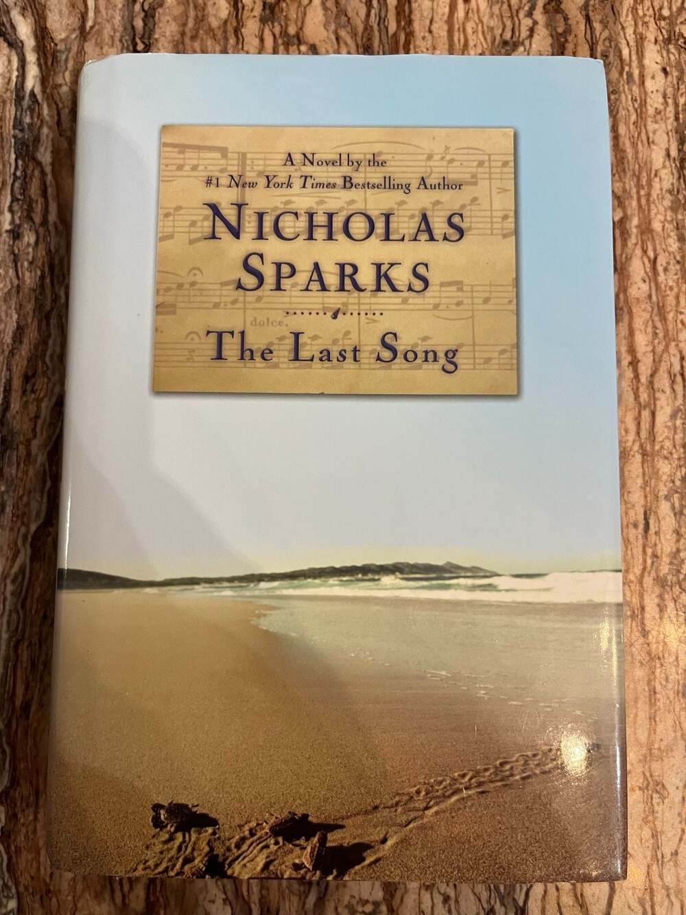 The Last Song VINTAGE 2009 1ST EDITION by Sparks Nicholas: Hardcover 1st Edition